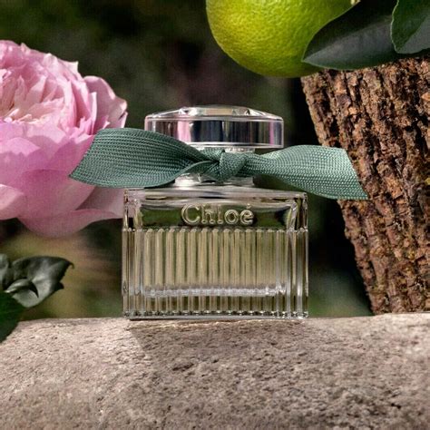 chloe rose naturelle intense review|chloe rose intense perfume.